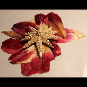 Sea star broach. Costume jewelry. Gold colored